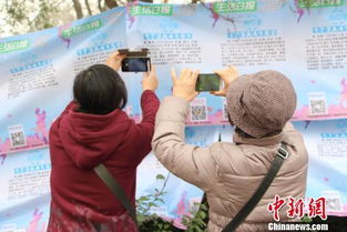 濟(jì)南三月三相親會，銀發(fā)團(tuán)扎堆難尋良緣